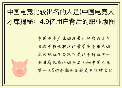中国电竞比较出名的人是(中国电竞人才库揭秘：4.9亿用户背后的职业版图)